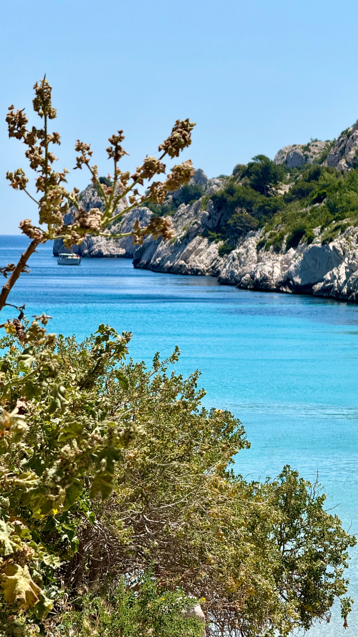 South of France